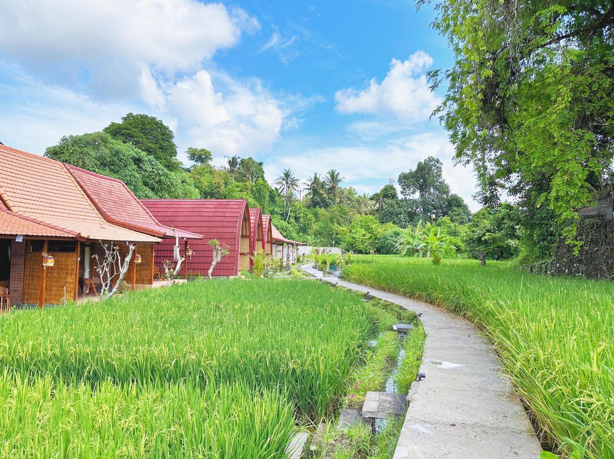 Uma Raos Cottage Ubud  Exterior photo